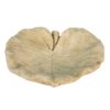 Cementové pítko pro ptáčky ve tvaru leknínového listu - 22*22*6 cm Clayre & Eef Clayre & Eef www.eLovci.cz